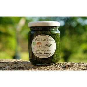 PESTO AIL DES OURS 2