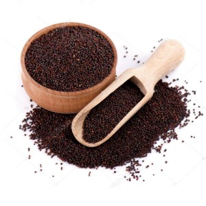 GRAINES DE MOUTARDE NOIRE 2