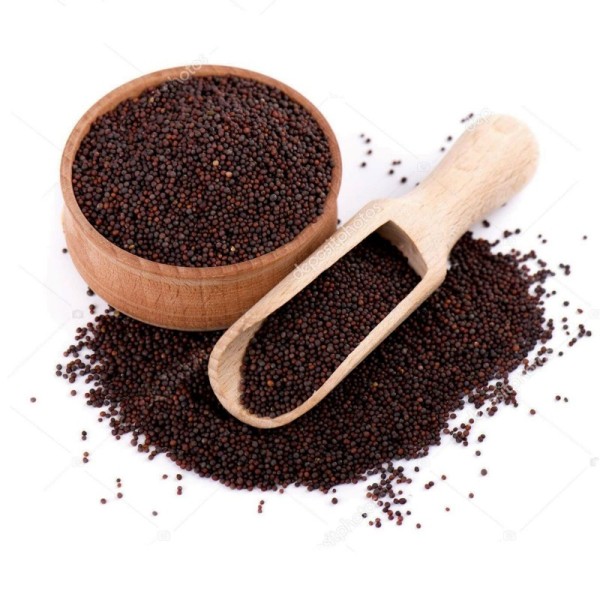 GRAINES DE MOUTARDE NOIRE