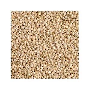 QUINOA
