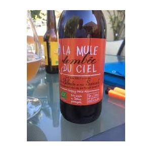 BIERE TOMBE DU CIEL (...