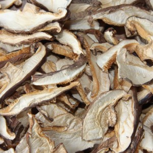 SHIITAKÉS CHAMPIGNONS...