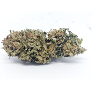 FLEUR DE CBD À FUMER NOTHWEST