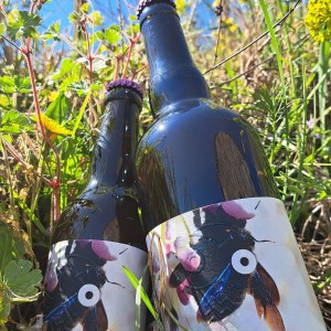 BIERE BOURGEON DE CASSIS (...