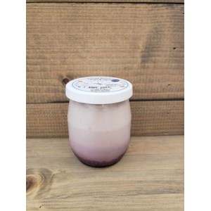 YAOURT CHEVRE /MYRTILLE
