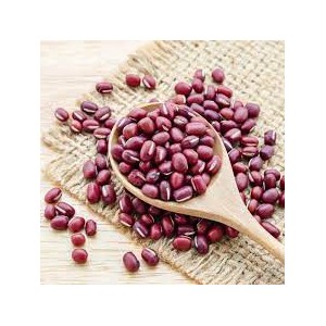 HARICOT AZUKI