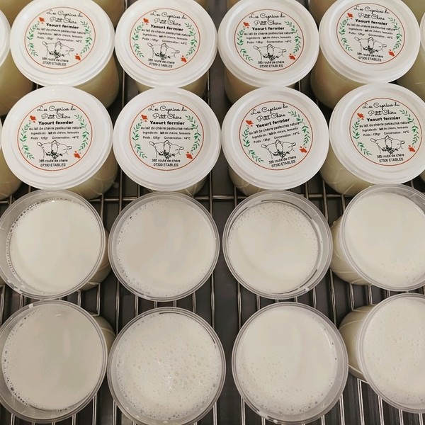 FAISSELLE CHEVRE FERMIER