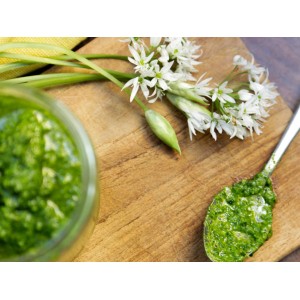 PESTO AIL DES OURS