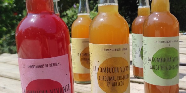 Ateliers autour de la fermentation