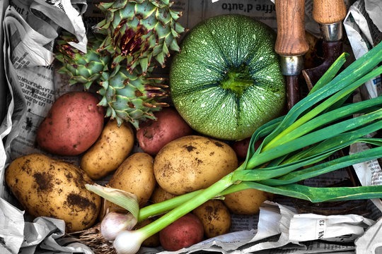 Dépôt de fruits et légumes bio